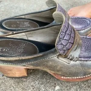Freebird by Steven | Shoes | Free Bird Purple Crocodile 
